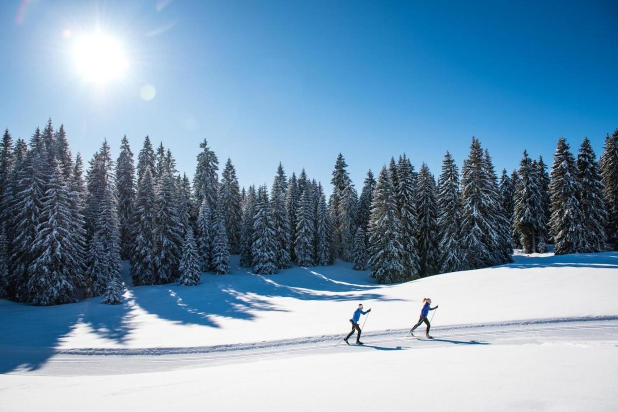 Superbe Appartement Au Pied Des Pistes -Le Chamois Les Déserts Exterior foto